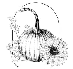 Skellie's Pumpkin Patch